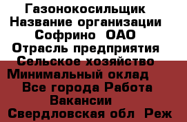 Газонокосильщик › Название организации ­ Софрино, ОАО › Отрасль предприятия ­ Сельское хозяйство › Минимальный оклад ­ 1 - Все города Работа » Вакансии   . Свердловская обл.,Реж г.